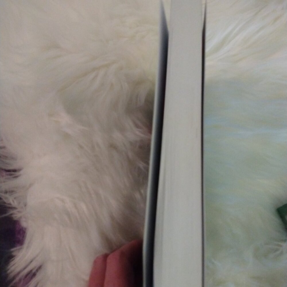 No Mercy Book by Preston Gillham New - Picture 5 of 5